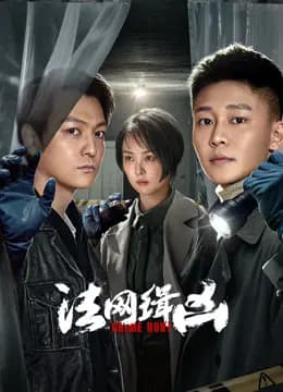 法网缉凶