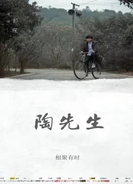 陶先生