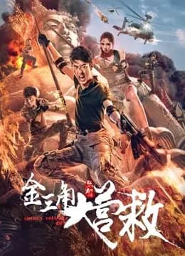 金三角大营救